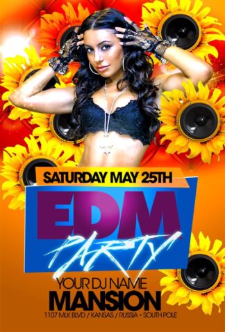 Electronic Music Party electronic music party Music flyers
