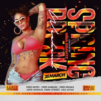 Spring Nights Party spring nights party Seasonal flyers